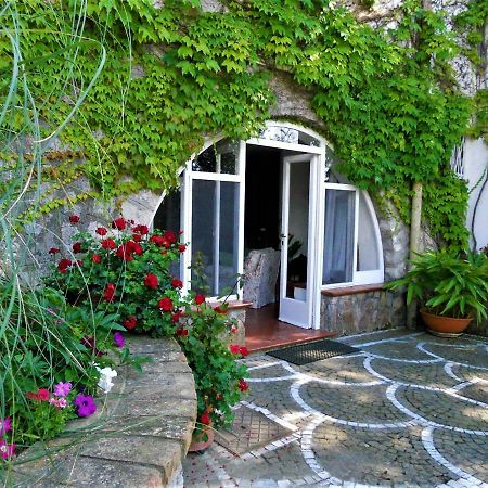 Villa Le Olivine Sorrento Exterior foto