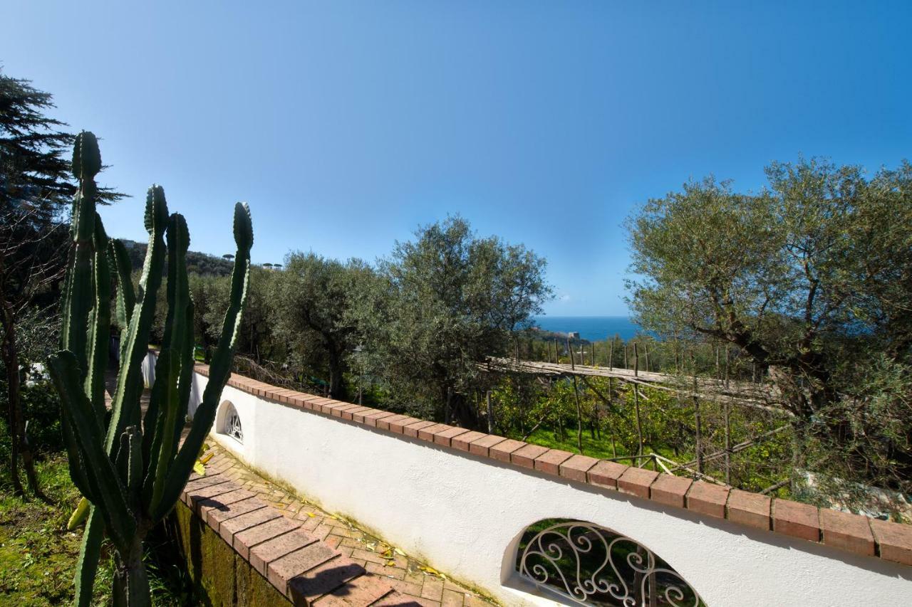 Villa Le Olivine Sorrento Exterior foto