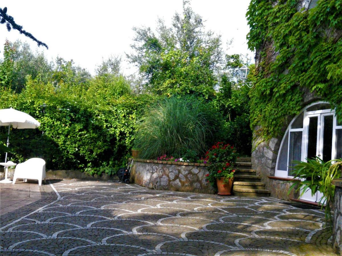 Villa Le Olivine Sorrento Exterior foto