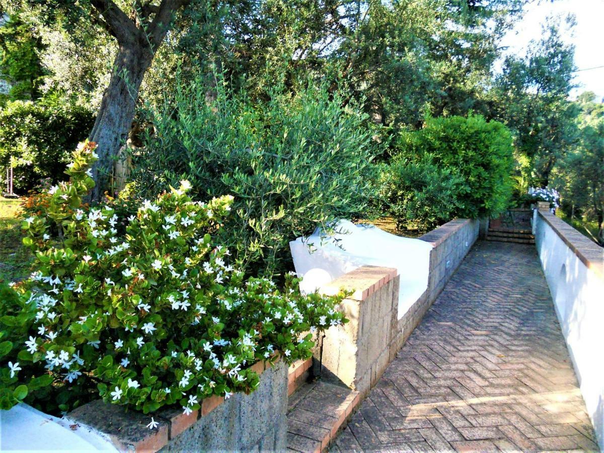 Villa Le Olivine Sorrento Exterior foto